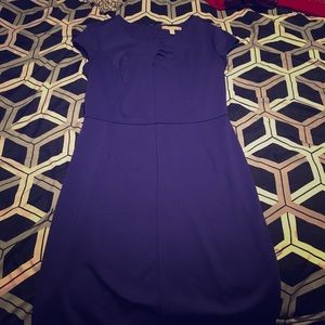 Royal Blue Banana Republic Sheath Dress